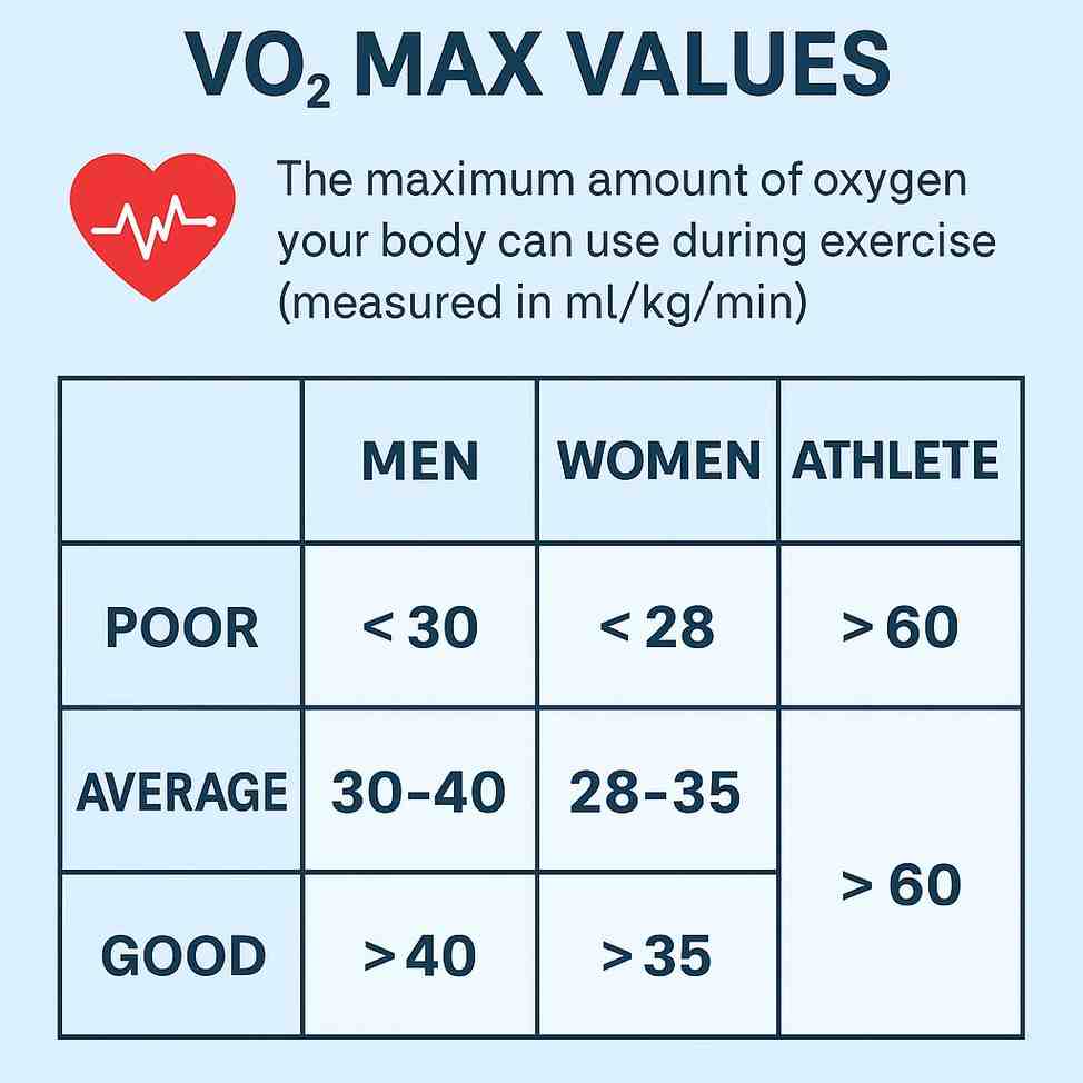Infographic explaining VO₂ max values for men, women, and athletes, showing poor, average, and good ranges.