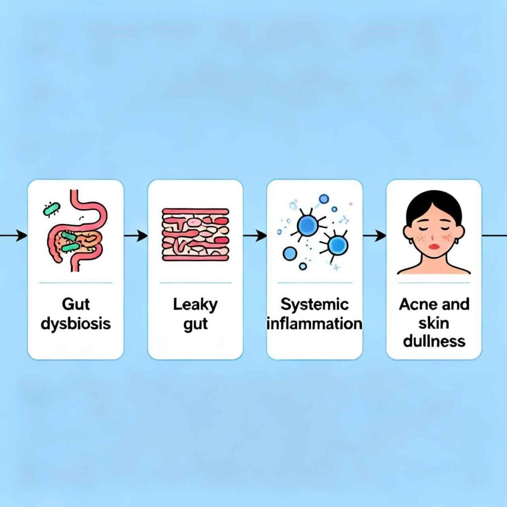 gut-skin axis flowchart showing how gut imbalance triggers skin issues